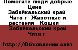 Помогите люди добрые  › Цена ­ 1 - Забайкальский край, Чита г. Животные и растения » Кошки   . Забайкальский край,Чита г.